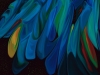 Tiina Moore - borealis-space