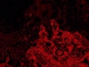 Tiina Moore - Molten Lava, Digital Print
