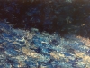 zen-blue-stream-24x48-2011