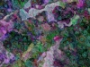 Tiina Moore - Variegated Pebbles, Digital Print